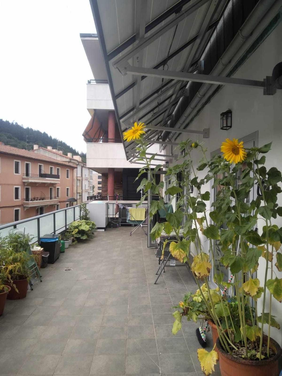 Aldabea II Apartamento Sostenible Legazpia Zewnętrze zdjęcie